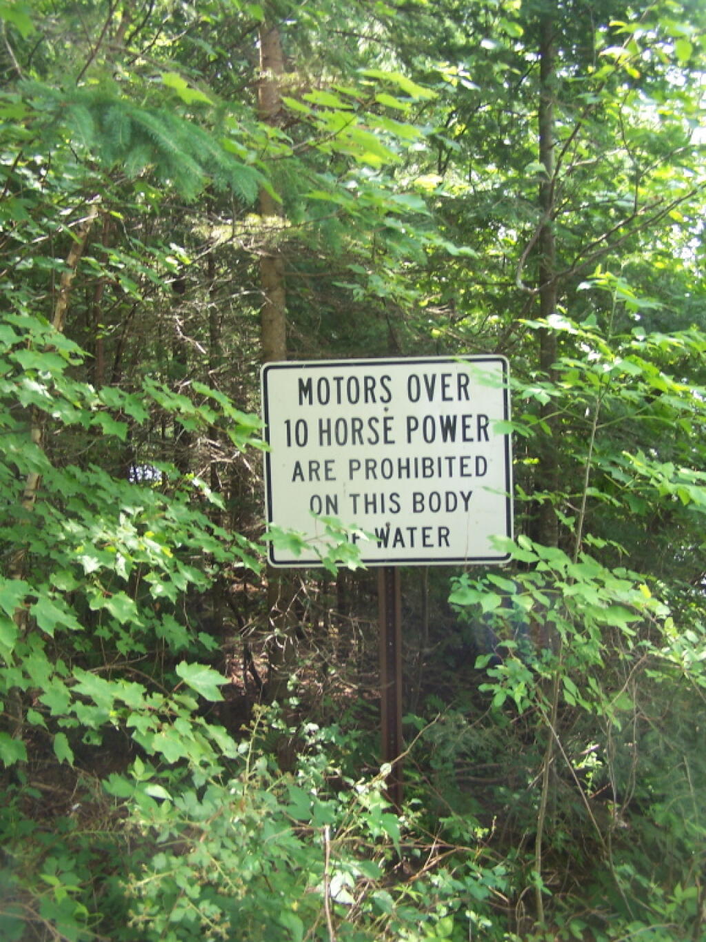Photo: No Large Motorboats on This Water Photo: No Large Motorboats on This Water