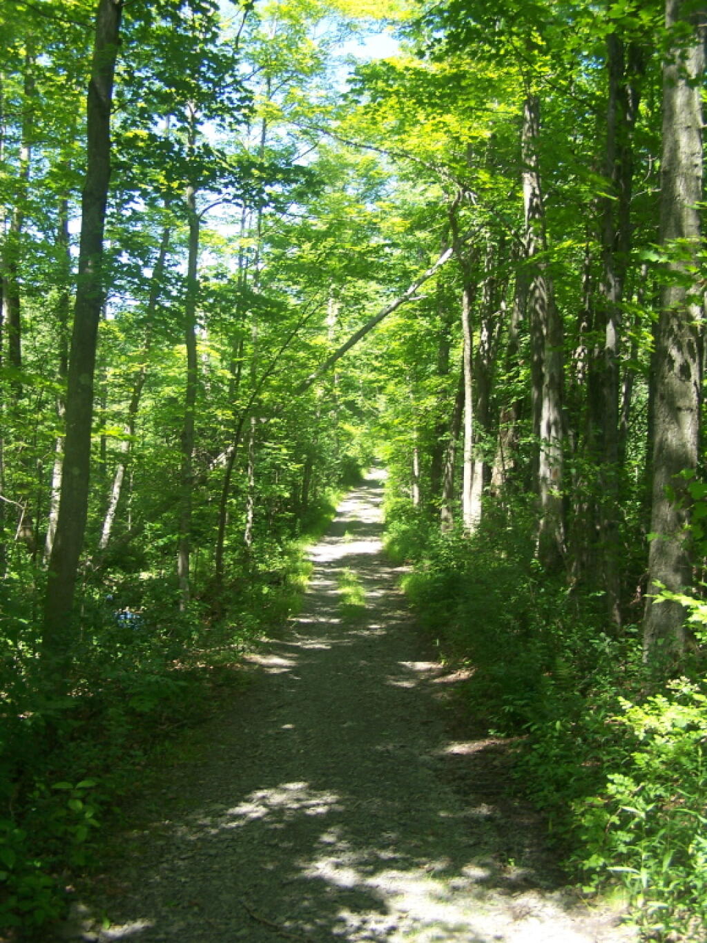 Photo: Hang Gliders Road