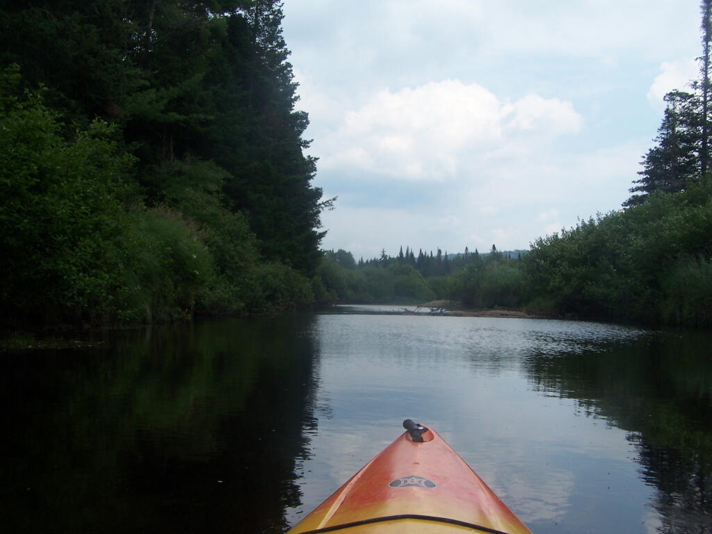 Photo: On the West Branch Photo: On the West Branch