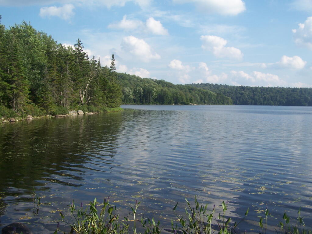 Photo: Sand Lake Photo: Sand Lake