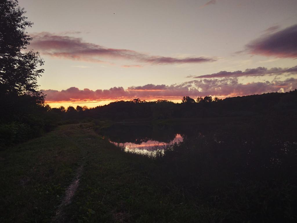 Photo: Evening at Foster Pond Photo: Evening at Foster Pond