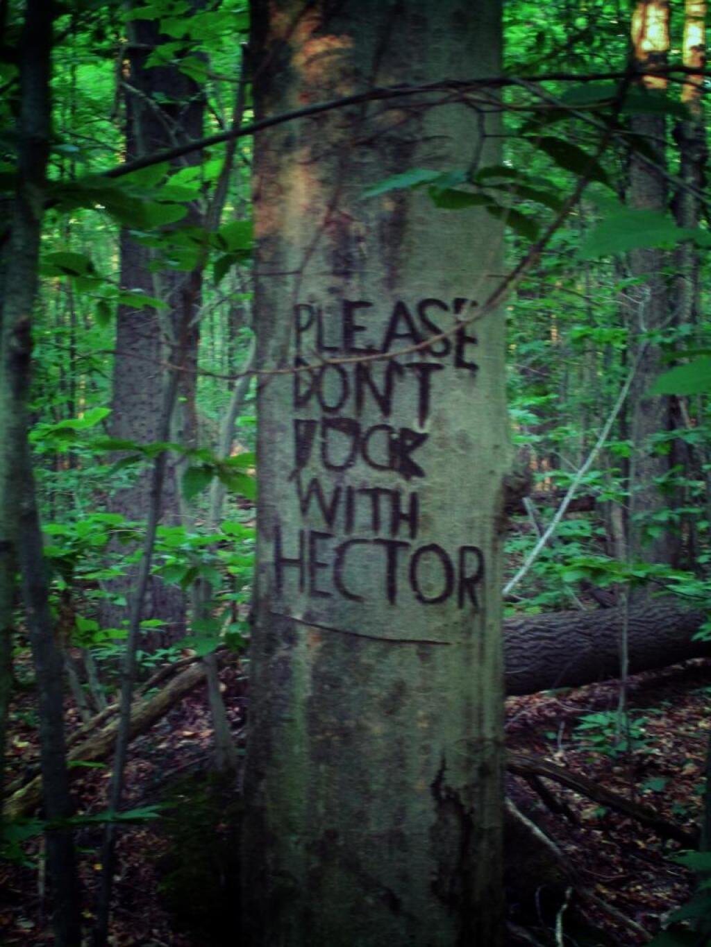 Photo: Polite Photo: Polite