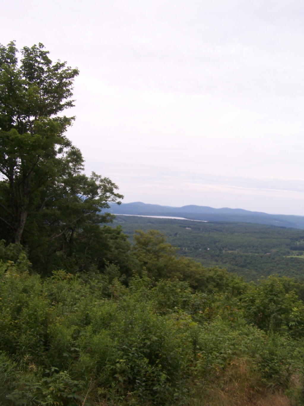 Photo: Edge of Leonard Hill Photo: Edge of Leonard Hill