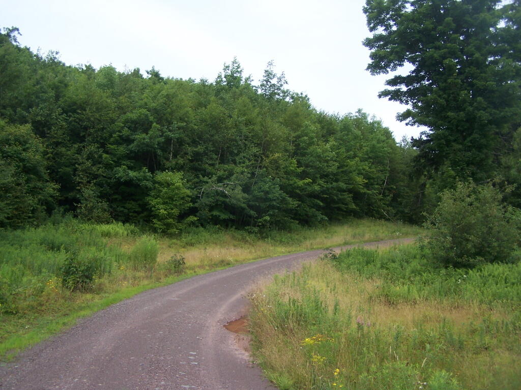 Photo: Truck Trail as It Climbs Hubbert Hill Photo: Truck Trail as It Climbs Hubbert Hill