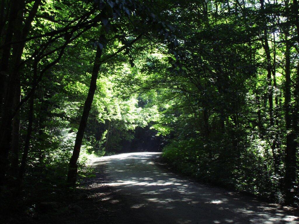 Photo: Cedar River-Limekiln Lake Road Photo: Cedar River-Limekiln Lake Road