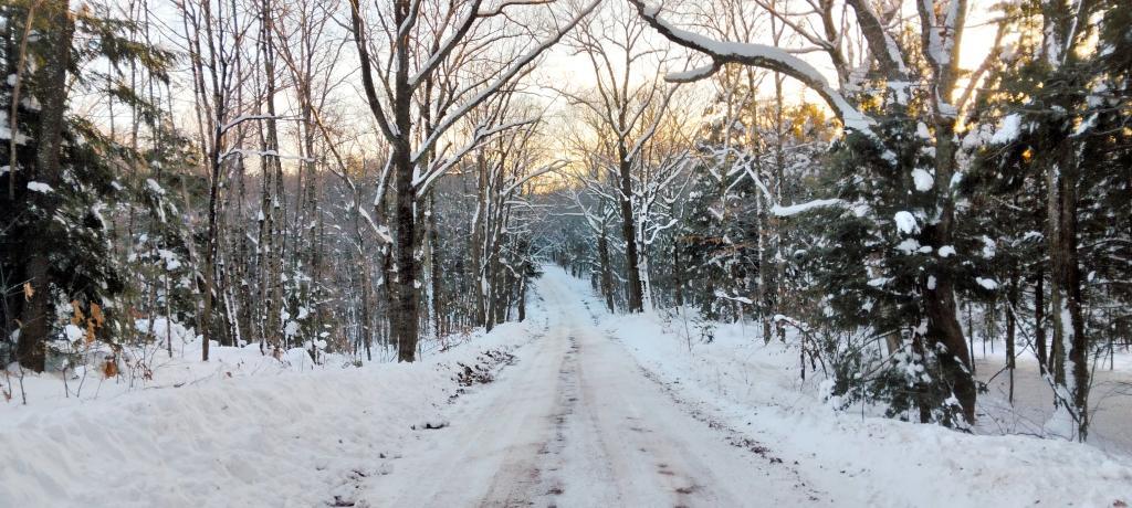 Photo: Winter Morning