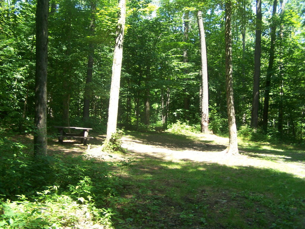 Photo: Campsite 6
