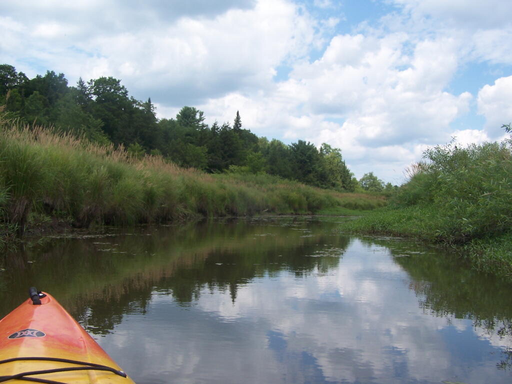 Photo: The Very Flat Water Beaver Creek