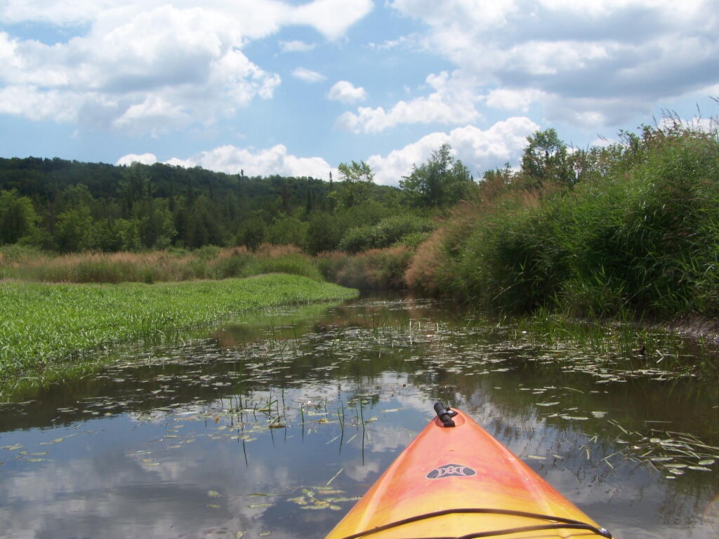 Photo: Another Narrow Section