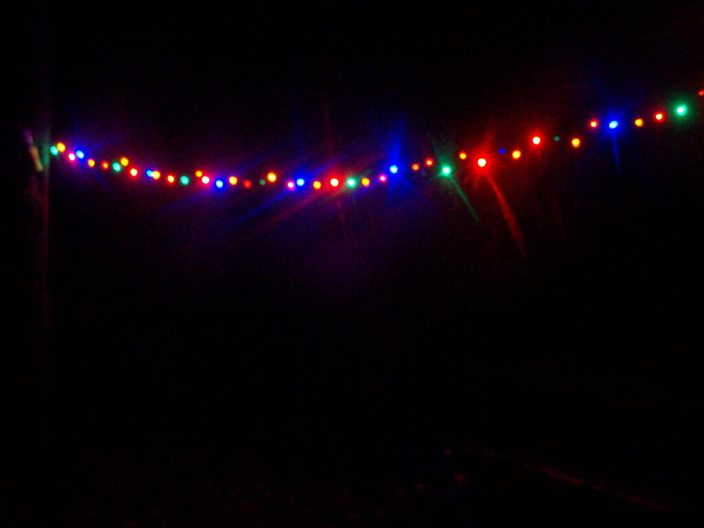 Photo: Christmas Lights in the Woods Photo: Christmas Lights in the Woods