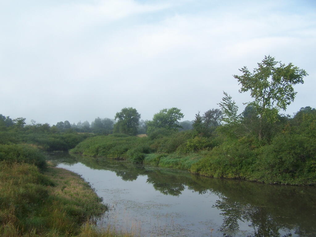 Photo: Beaver Creek Looking South Photo: Beaver Creek Looking South