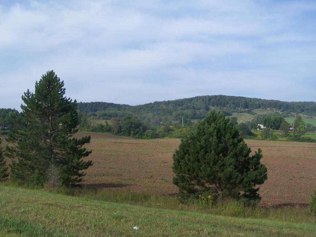 Photo: Rolling Farm Country Along NY 8 Photo: Rolling Farm Country Along NY 8