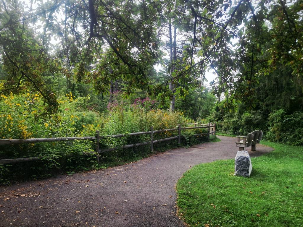 Photo: Trail [Expires September 5 2026]