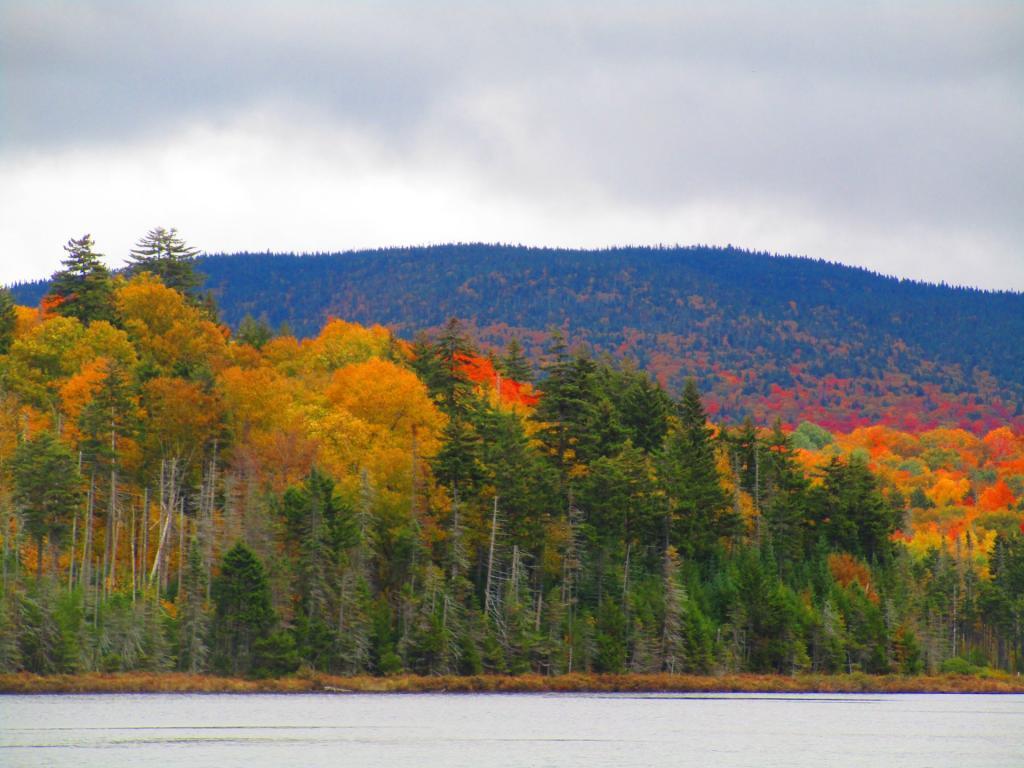 Photo: Pillsbury Lake Photo: Pillsbury Lake