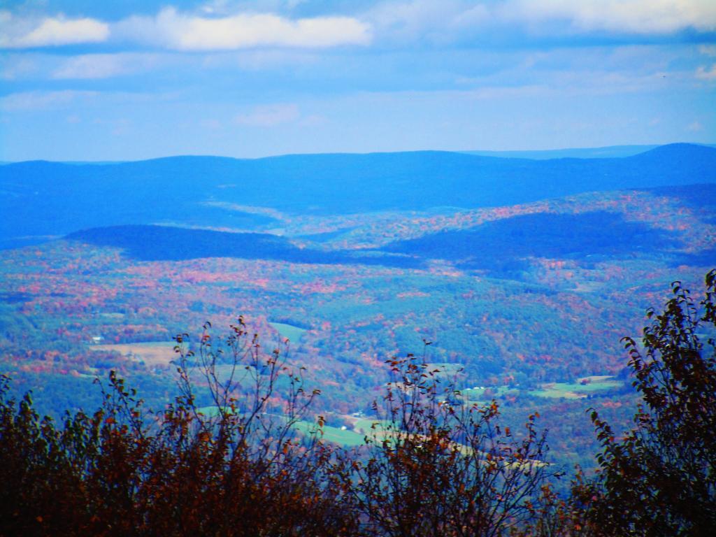 Photo: Color in the Higher Elevations Above Gilboa Photo: Color in the Higher Elevations Above Gilboa