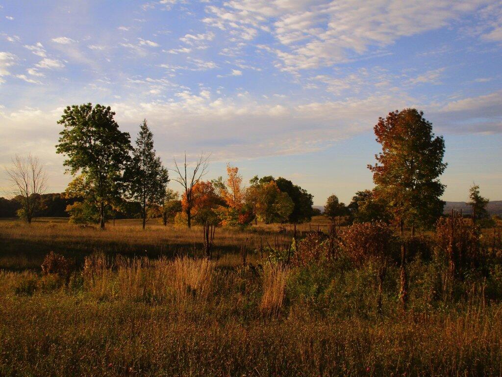 Photo: Autumn Skies Photo: Autumn Skies