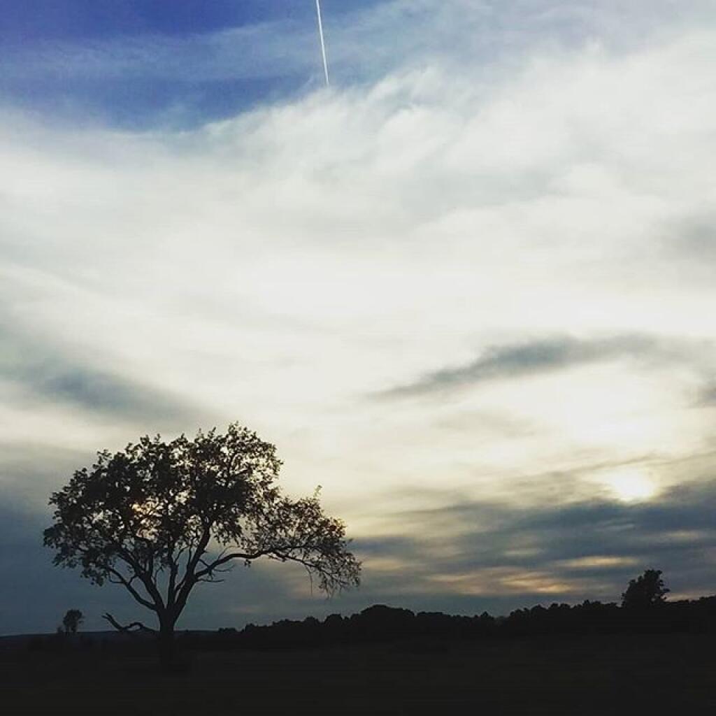 Photo: Dusk Photo: Dusk