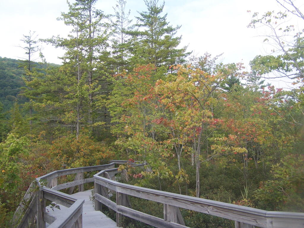 Photo: Hints of Falls Colors Photo: Hints of Falls Colors