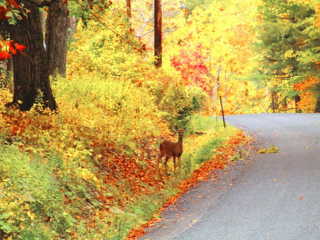 Photo: Danger on Every Curve Photo: Danger on Every Curve