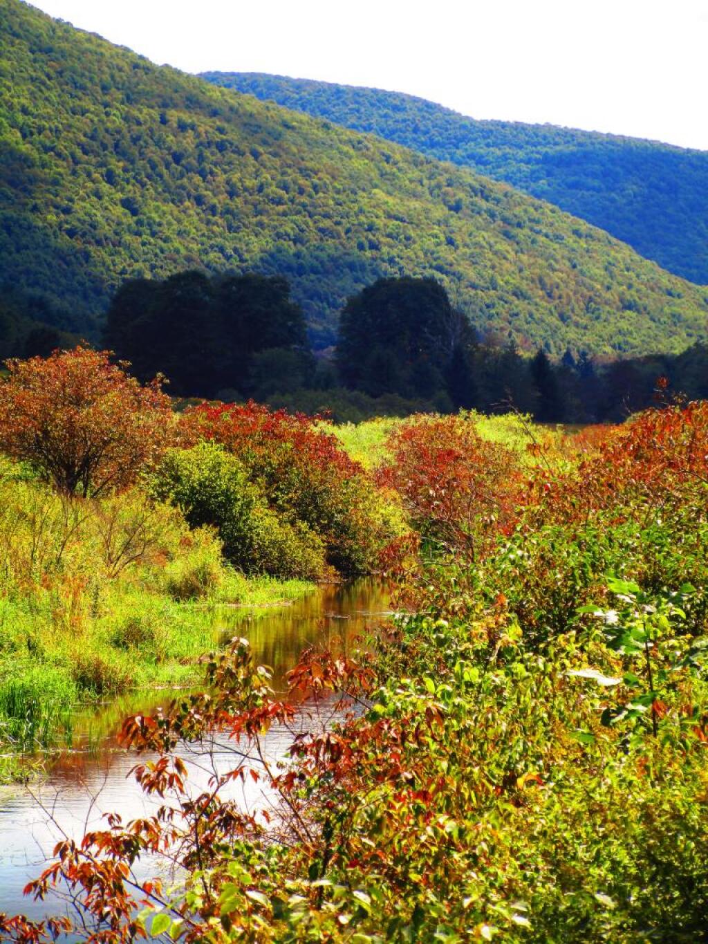 Photo: Schultice Mountain and the East Branch Photo: Schultice Mountain and the East Branch