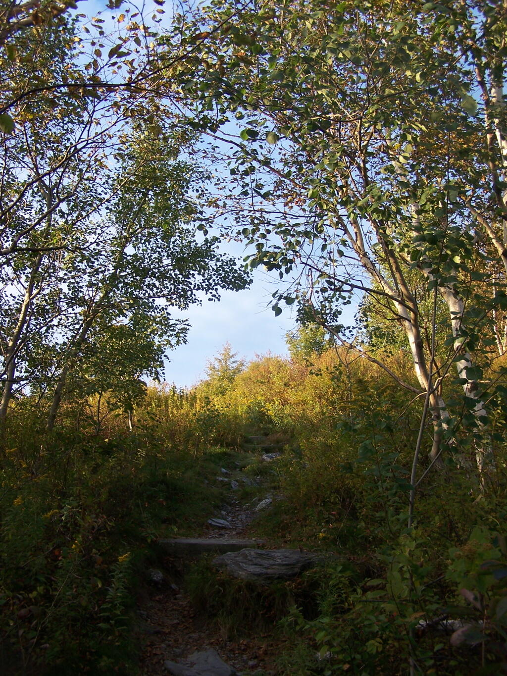Photo: Heading Up Towards White Rocks Photo: Heading Up Towards White Rocks