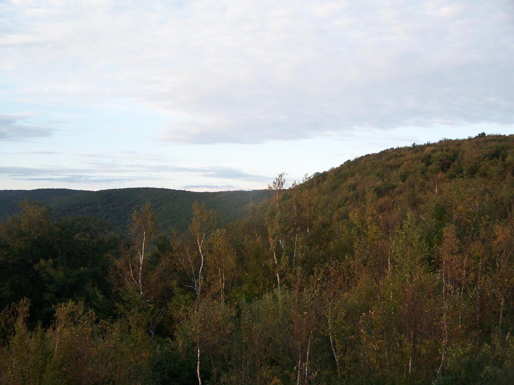 Photo: Taconic Ridge Photo: Taconic Ridge