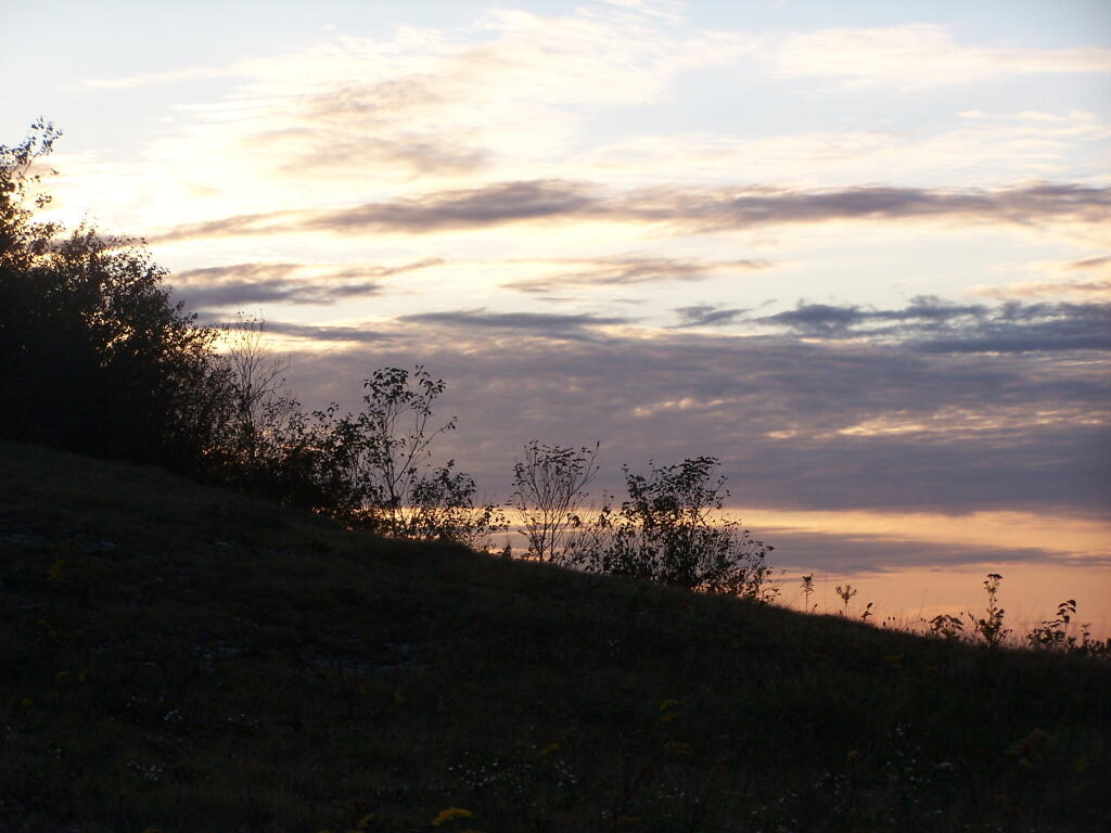 Photo: Dusk