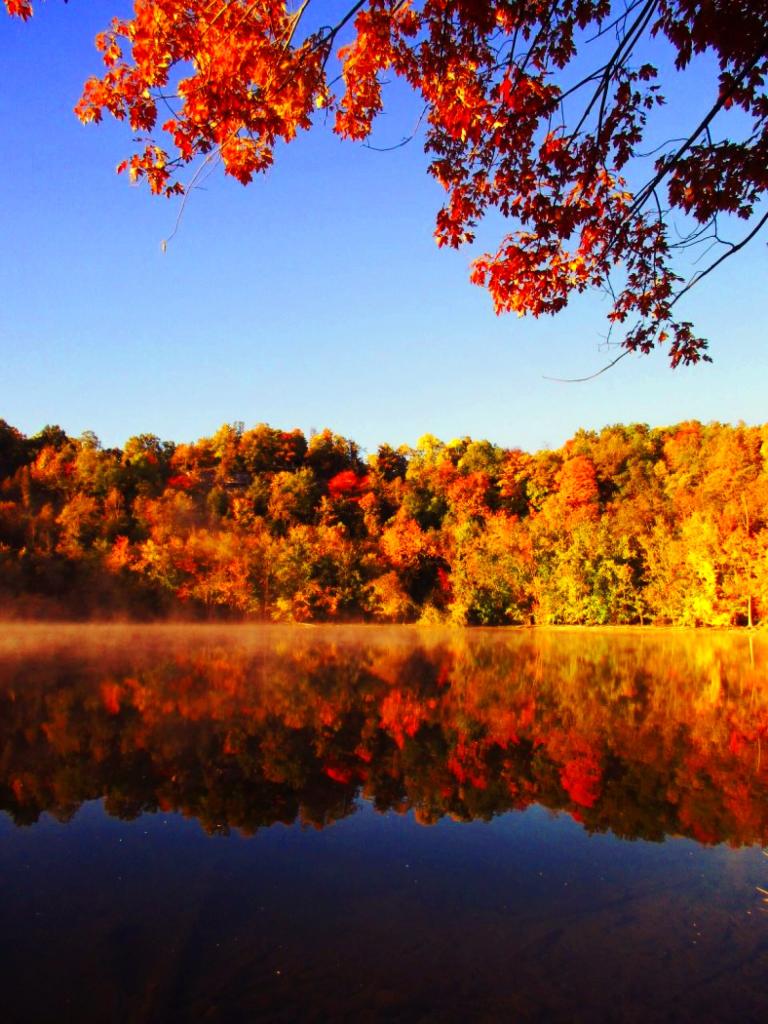 Photo: Clear Water Reflects Photo: Clear Water Reflects