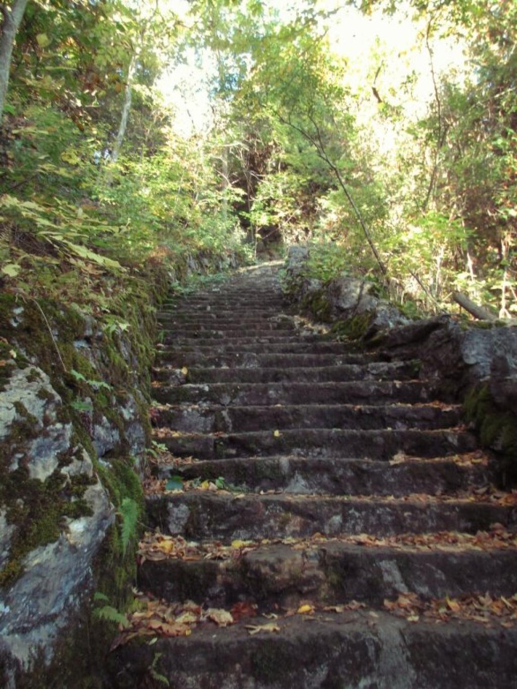 Photo: Stairs