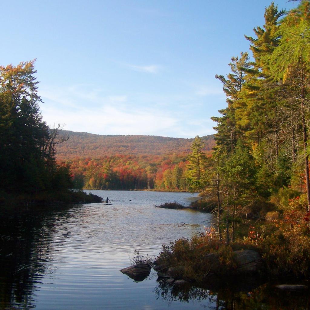Photo: Wakely Pond Photo: Wakely Pond