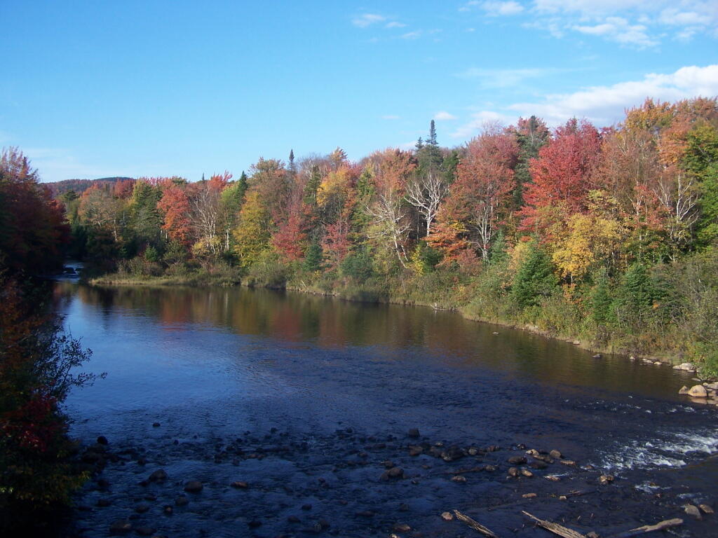 Photo: Cedar River Photo: Cedar River