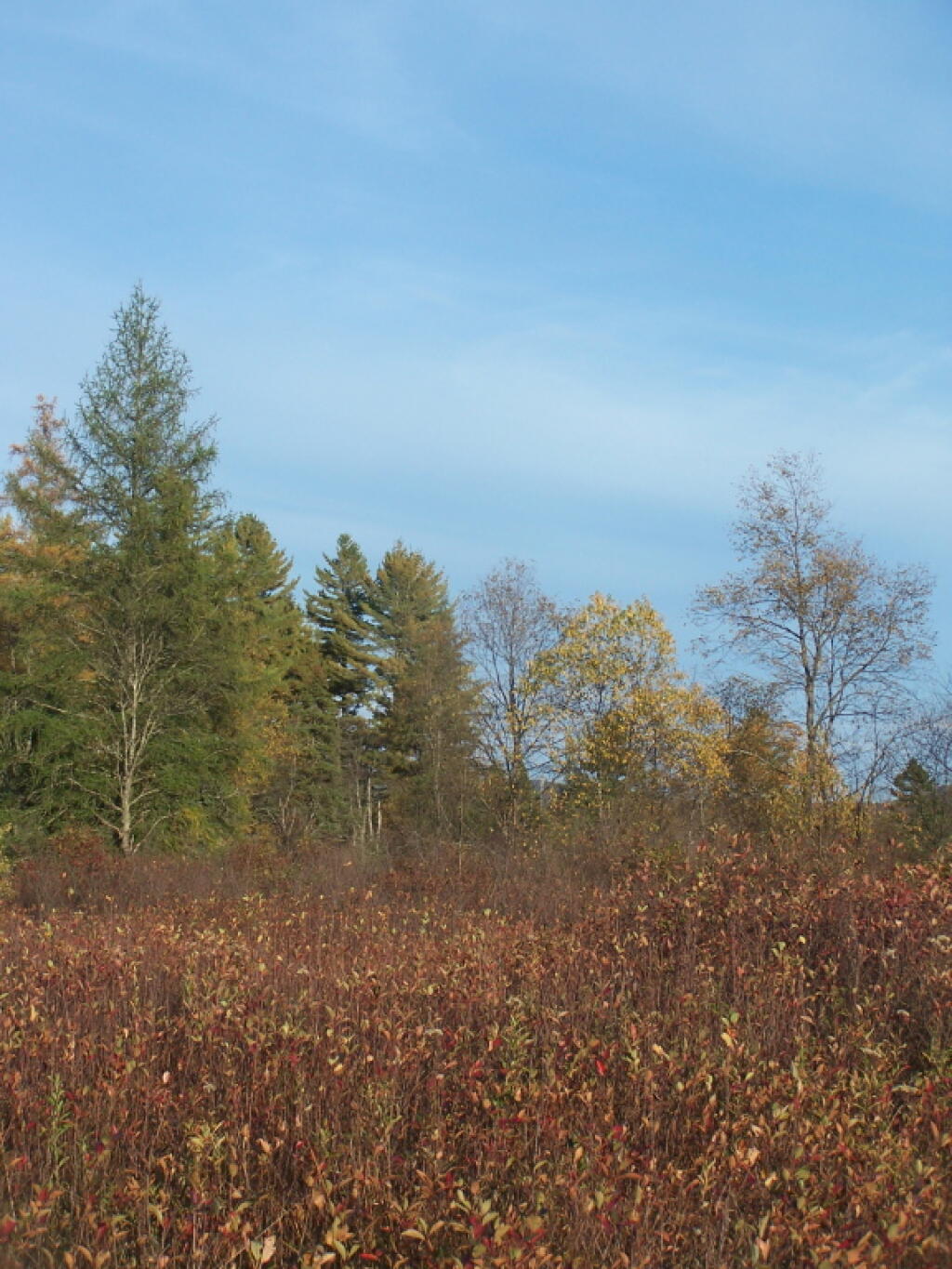 Photo: The Plains in the Fall Photo: The Plains in the Fall