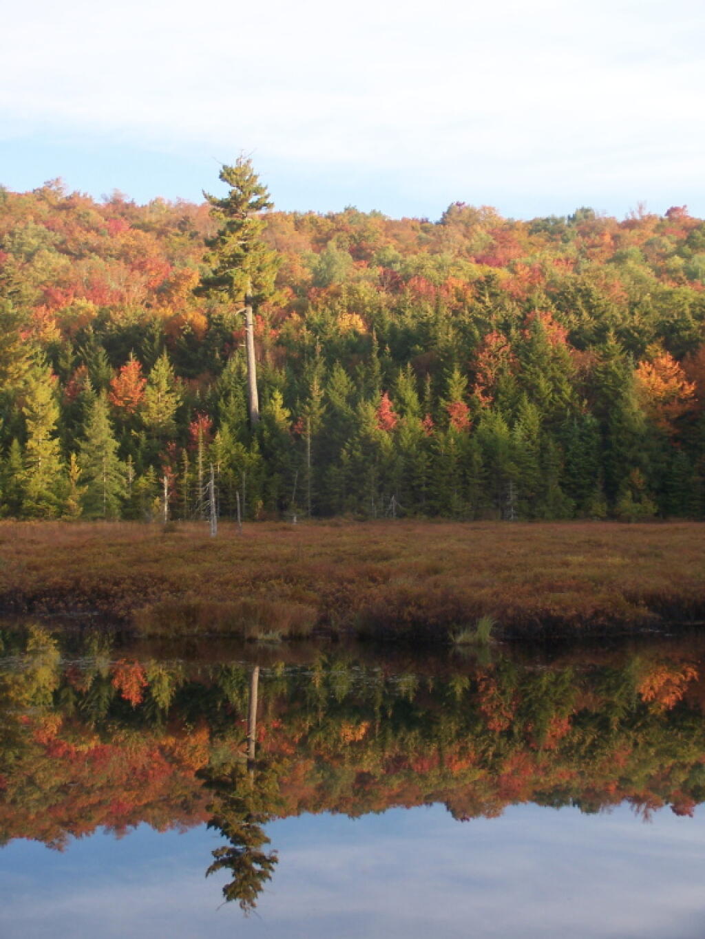Photo: Reflection Swamp Near Silver Run Photo: Reflection Swamp Near Silver Run
