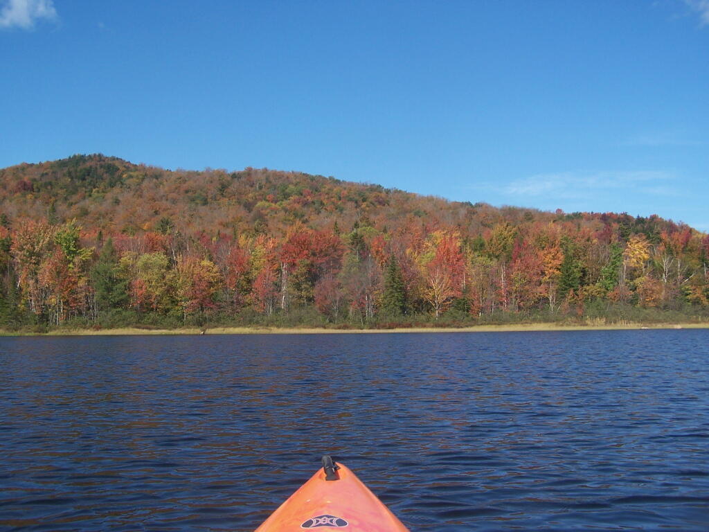 Photo: Colors Along the Western Shore Photo: Colors Along the Western Shore