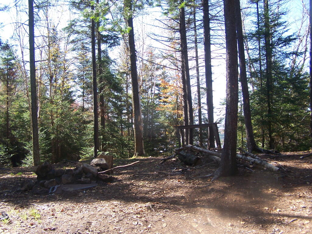 Photo: Campsite Along Cedar River Flow Photo: Campsite Along Cedar River Flow