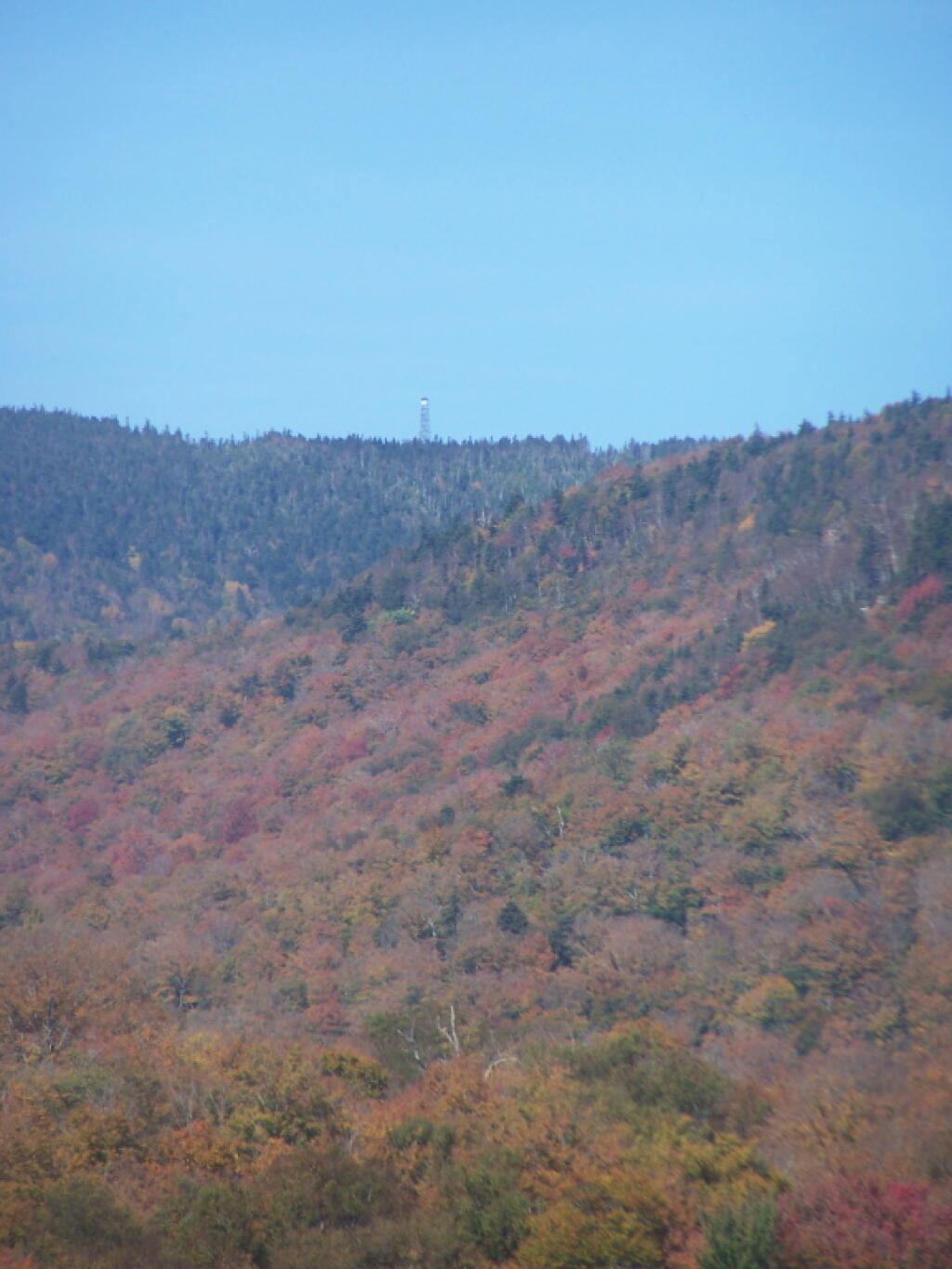 Photo: Wakely Mountain Firetower, As Seen from Cedar River Flow Photo: Wakely Mountain Firetower, As Seen from Cedar River Flow