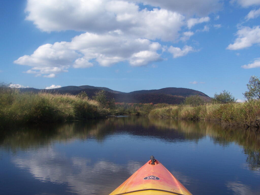 Photo: Along the Cedar River Photo: Along the Cedar River