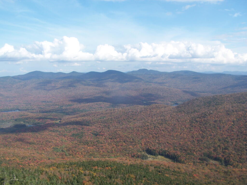 Photo: The Moose River Plains Photo: The Moose River Plains
