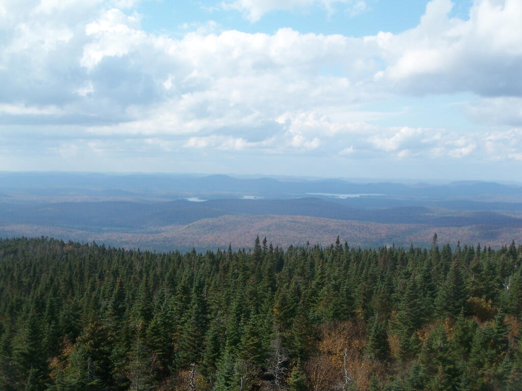 Photo: Towards the Fulton Chain of Lakes Photo: Towards the Fulton Chain of Lakes