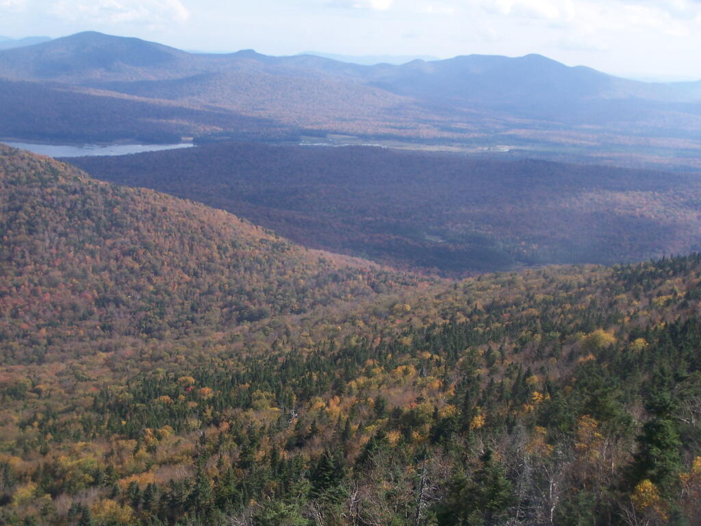Photo: Looks Like Late Fall Here Photo: Looks Like Late Fall Here