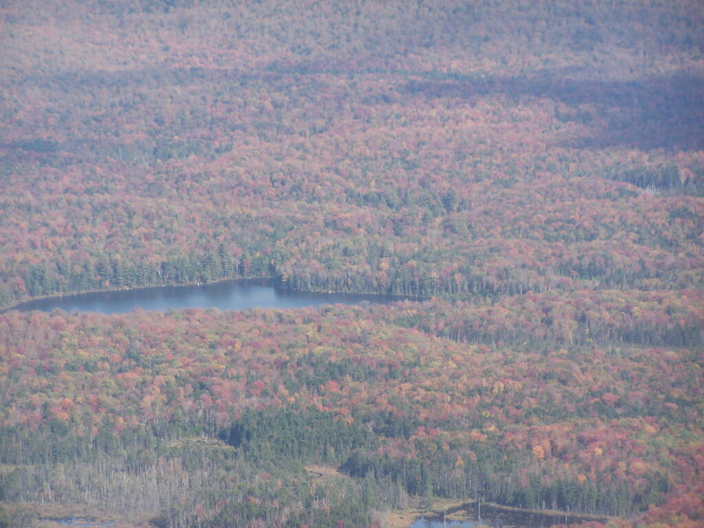 Photo: Wakely Pond Photo: Wakely Pond
