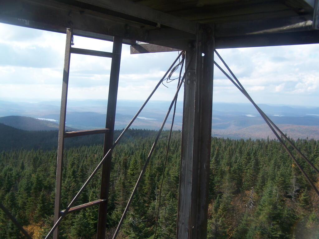 Photo: Ladder to the Top Photo: Ladder to the Top