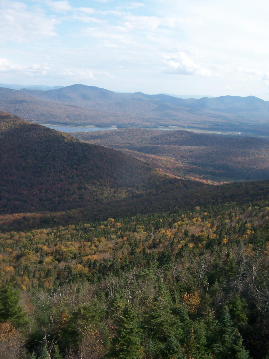 Photo: Moose River Plains (Vertical) Photo: Moose River Plains (Vertical)