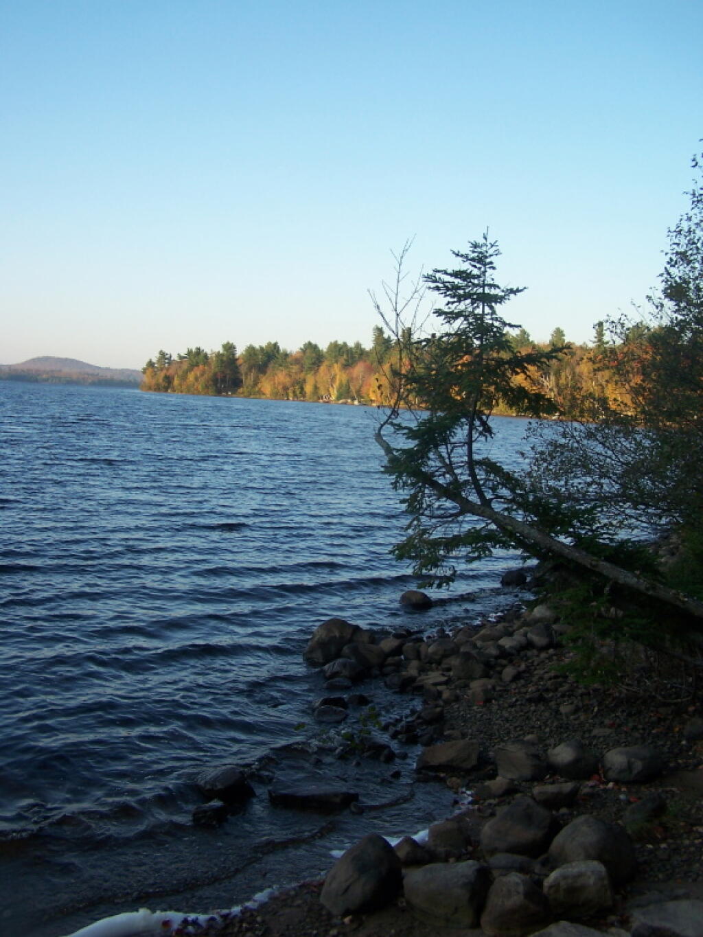 Photo: Shoreline of Union Falls Pond Photo: Shoreline of Union Falls Pond