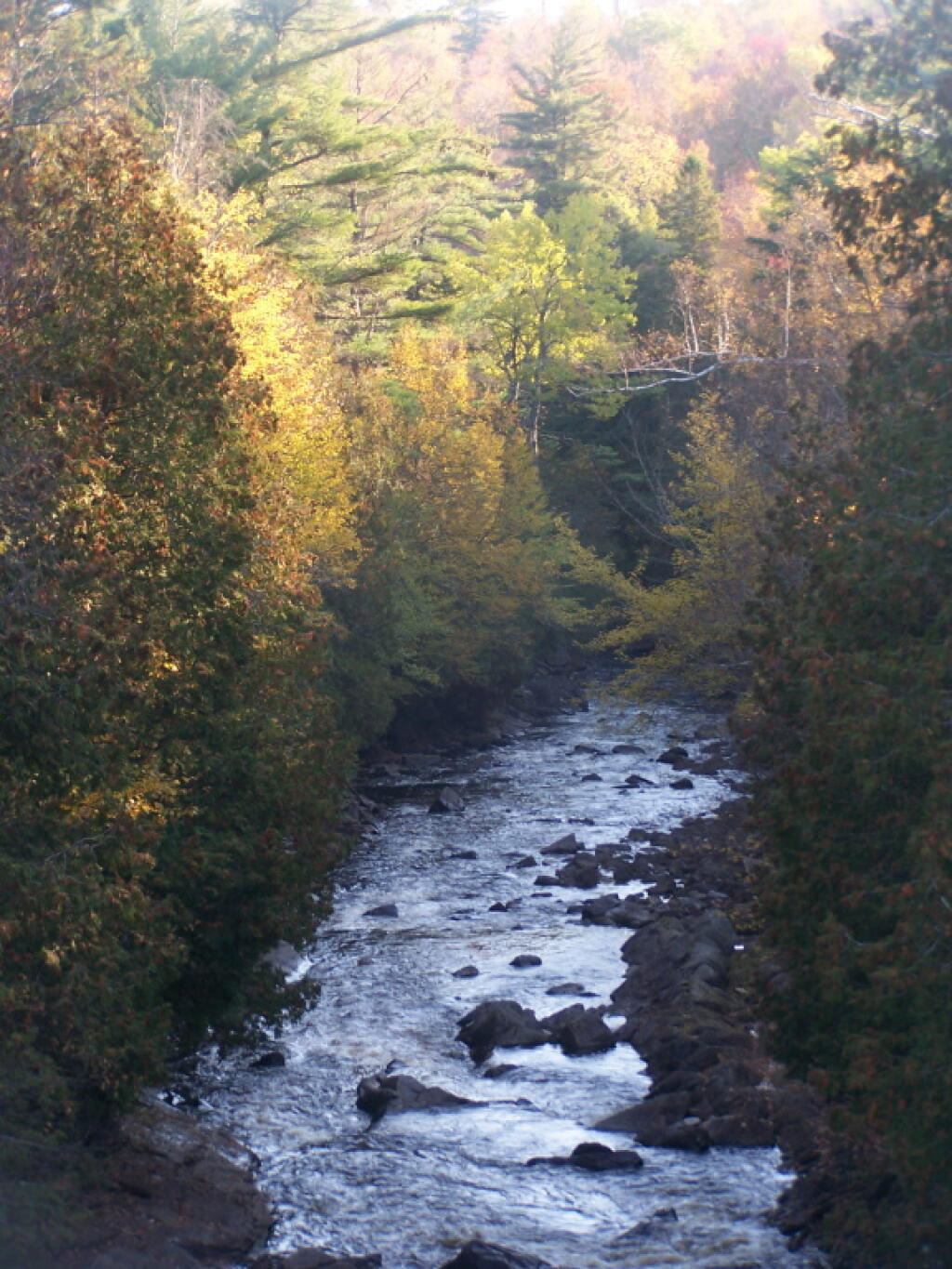 Photo: Saranac River: A Wild and Scenic River Photo: Saranac River: A Wild and Scenic River