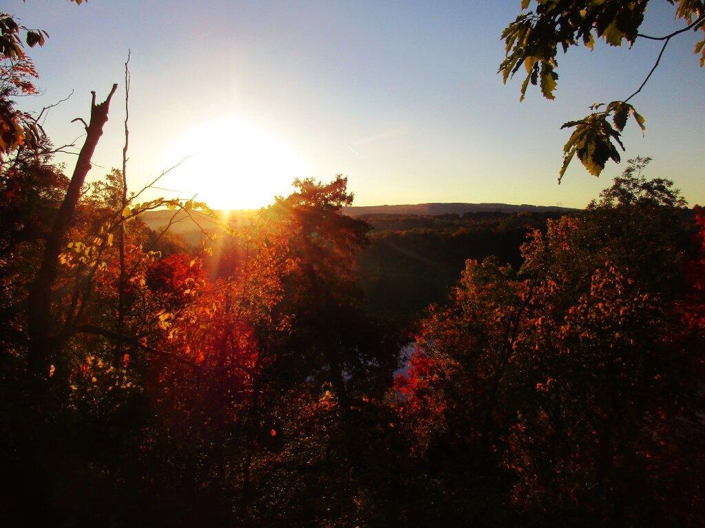 Photo: Sun