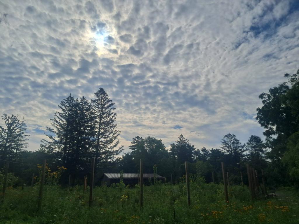 Photo: Clouds [Expires September 5 2026]
