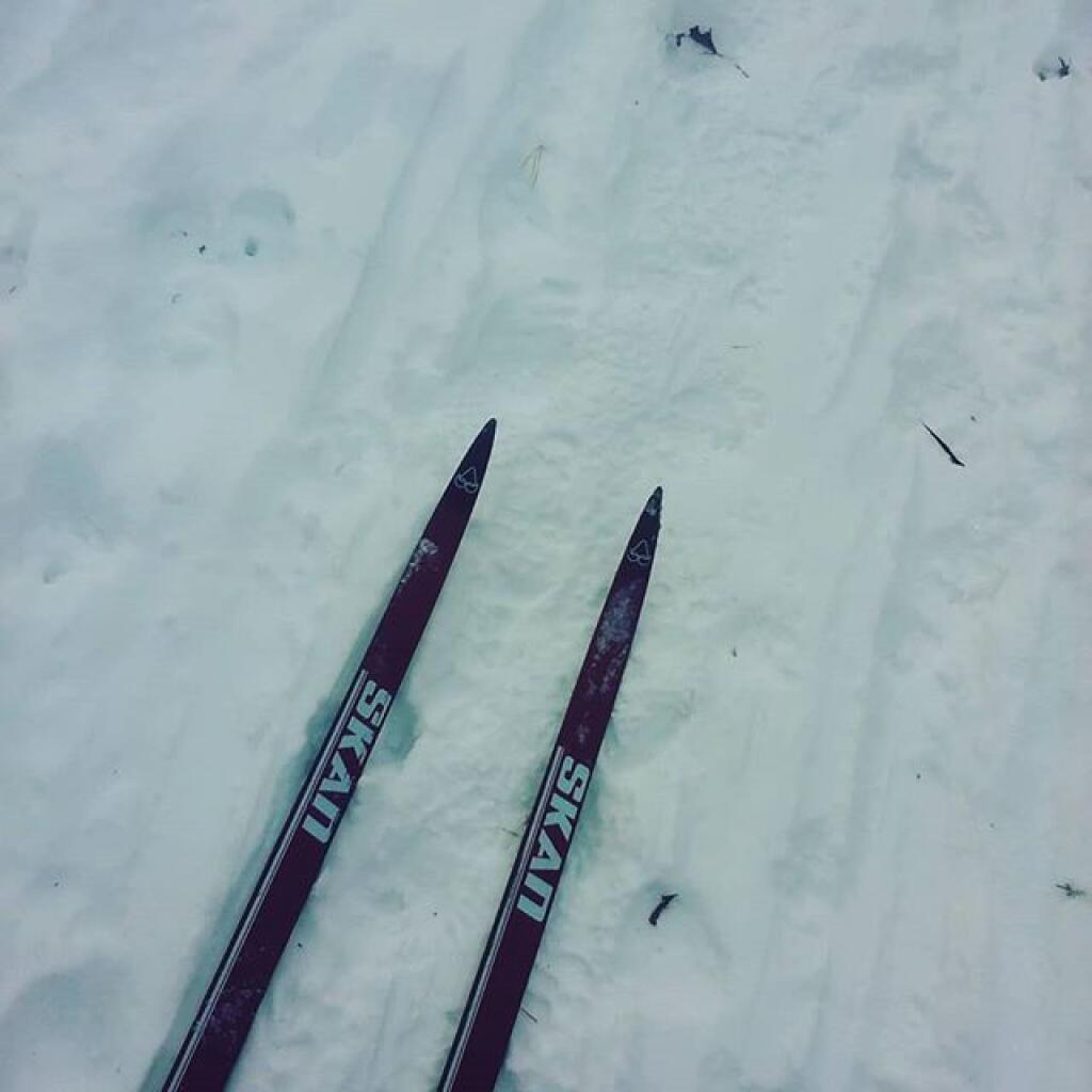 Photo: Ski while you still can Photo: Ski while you still can