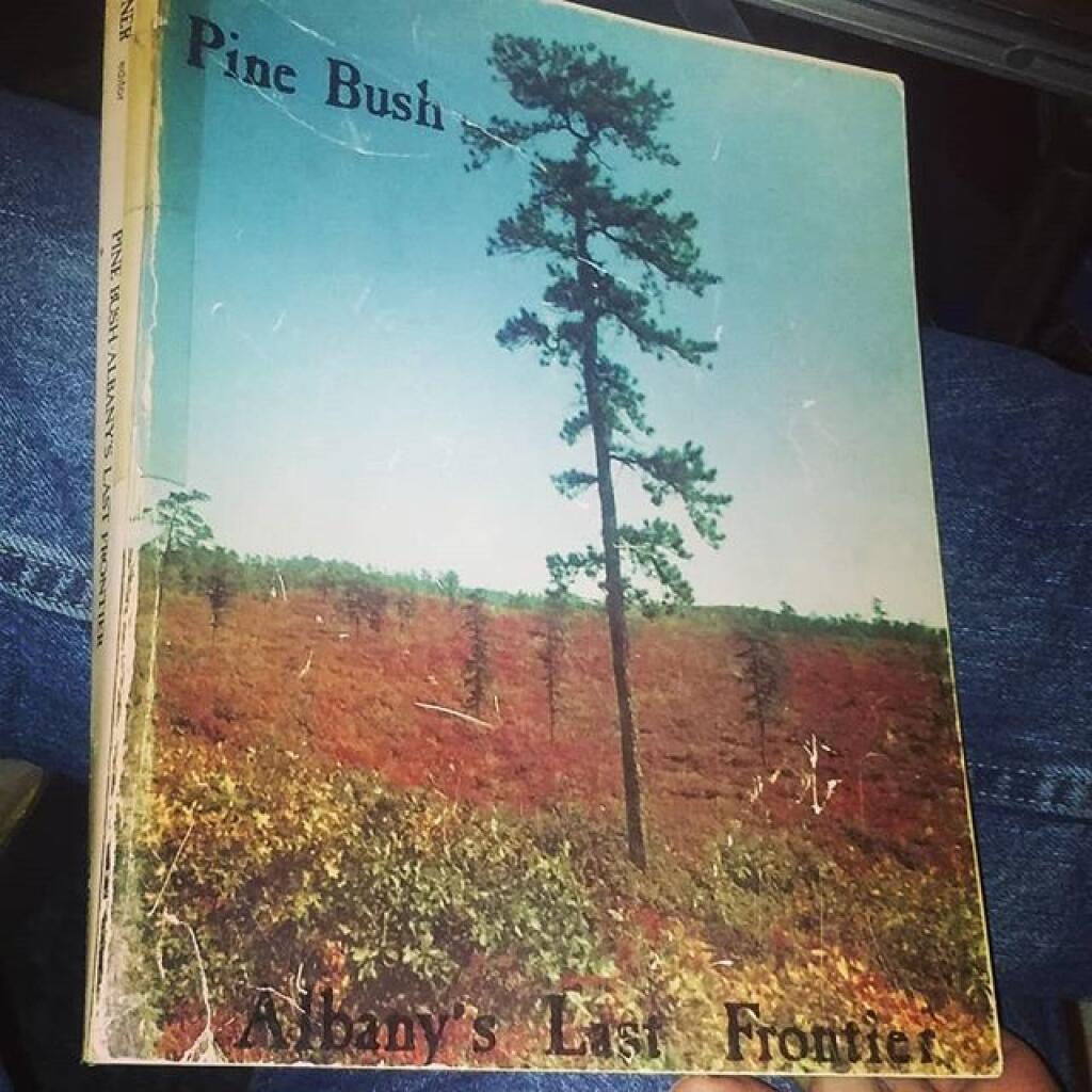 Photo: Fascinating book to thumb through Photo: Fascinating book to thumb through