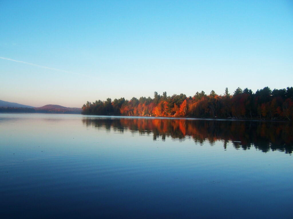 Photo: Mornings Light on Western Shore Photo: Mornings Light on Western Shore